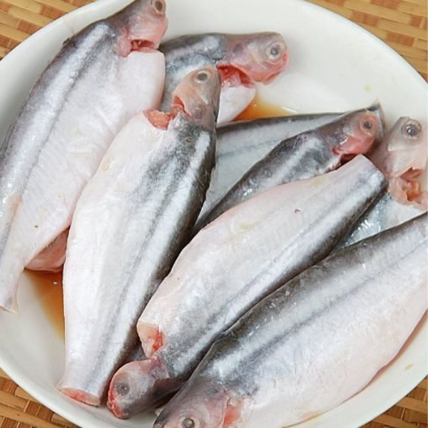 Cá xác nước ngọt giá sỉ