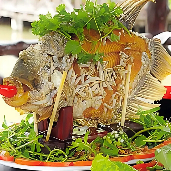 Cá tai bồ sống giá sỉ