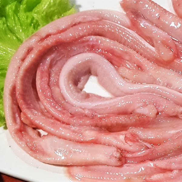 cá ninja giá sỉ